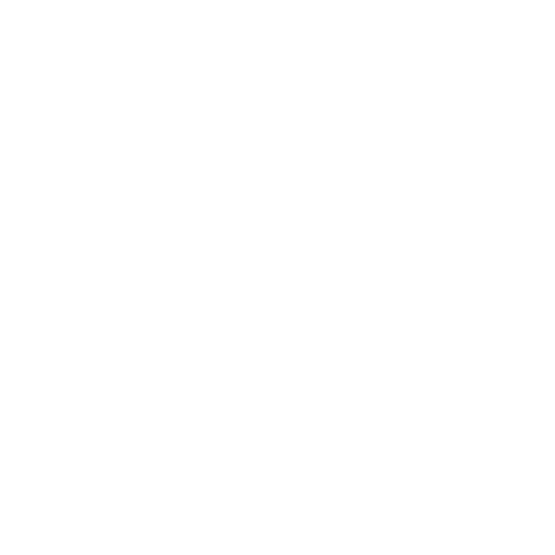 Manipal University